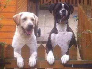 Our Two Girls