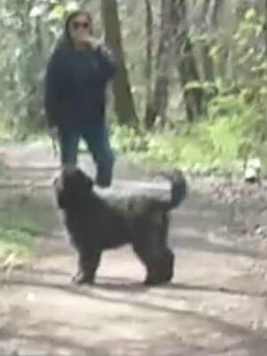 Hera Puppy