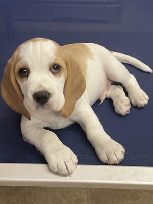 He is the most friendly loveable boy