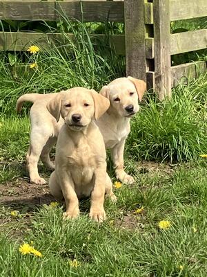 Enjoying the sunshine!