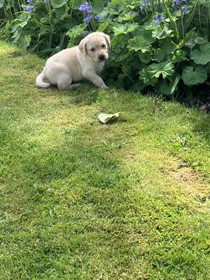 Enjoying the spring sunshine!