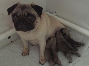 2 weeks old