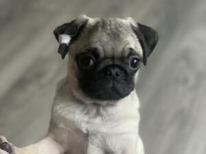 15 weeks Here