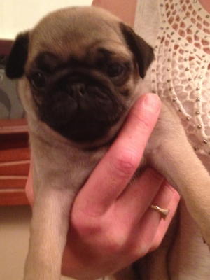 At 5 1/2 weeks