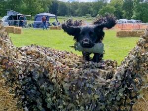 Pip