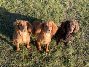 Nell (center) with Mum (left) and Brother (right)