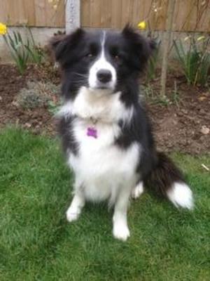 CHARLEY