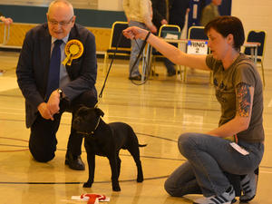 Best Puppy In Show, Judge Max King