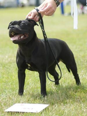 Ella 9 mths 1st PB, BPB, RBPIB