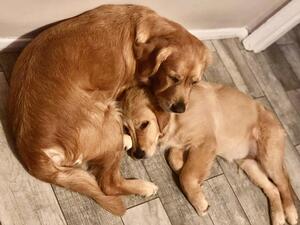 Elsa with her Mum Jasmine