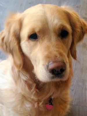 Gracie at 2 years old
