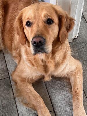 Elsa 2 yrs old