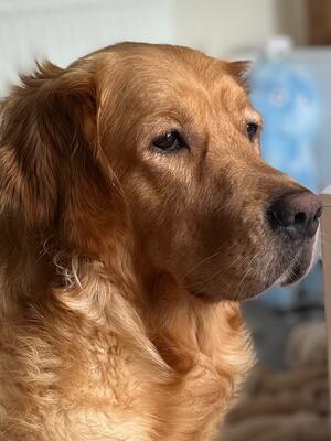 Elsa 2 yrs, 10 months