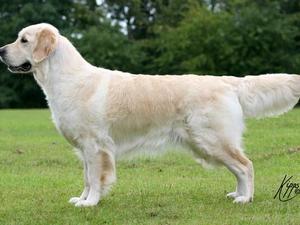 Lola (Alibren Attraction for Palmonas)