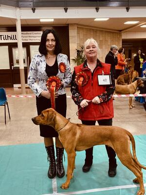 BEST PUPPY DOG AT A CHAMP SHOW AT 6 MONTHS