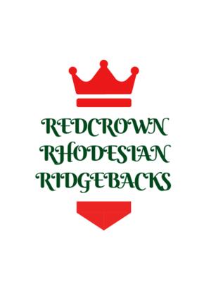 RedCrown Rhodesian Ridgebacks x