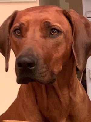 Our beautiful Dam Kya