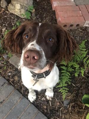 Bonnie in waiting