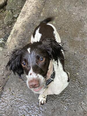Bonnie awaiting further instructions
