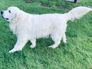 Winnie mum to be