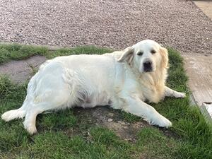Picture of Winnie expecting her