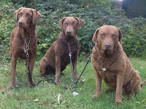 Zara with Tia and Marli