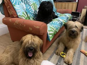 The three amigos