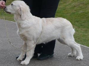 Orla at 5 months
