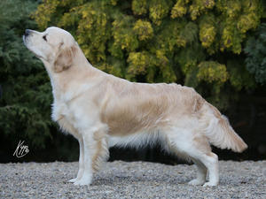 Diamond at 2 years 6 months