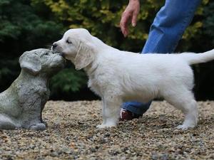 Ettie at 7 1/2 weeks