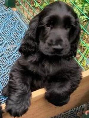 Such a beautiful litter