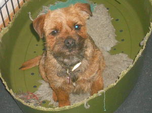 TAZ 11 MONTHS