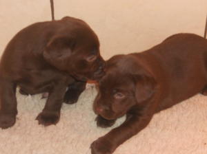 5 WEEKS