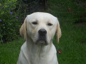 Winnie head shot!