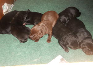 9 DAYS OLD