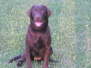 Riley 9 months