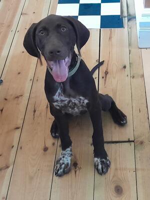 Gorgeous girl just turned 15 weeks