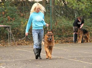 2nd at his first ever show aged 7.5yrs