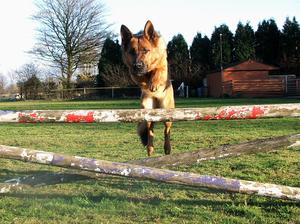 Phenja loves jumping