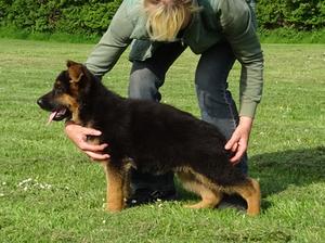 Zak at nearly 12wks