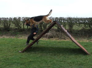 'A' frame training