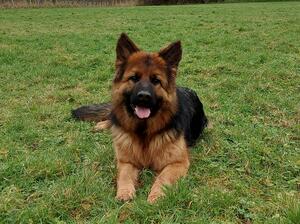 Hallie at 14 months