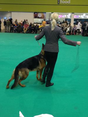 Me and Phenja in the ring