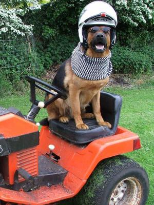 Usko geared up for mowing our field haha
