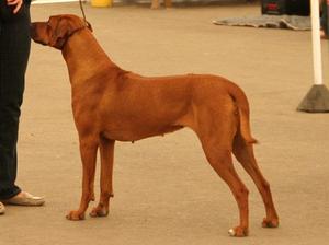 Ruma at 21 months old