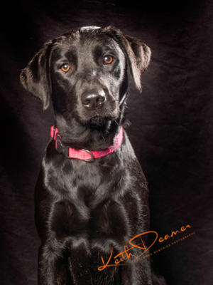 Rose aged 9 months