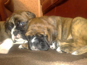 Brother and Sister