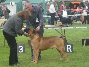 KILLARNEY 2010 - ZAC 3RD IN WORKING GROUP