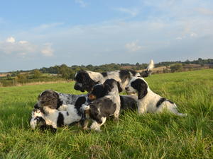 having fun in the fields
