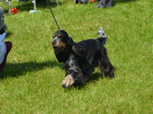 strutting her stuff